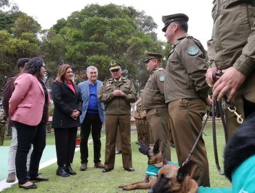 Alianza con Bienes Nacionales agiliza proyecto de Centro de Entrenamiento y Clínica Veterinaria de Carabineros en Viña del Mar