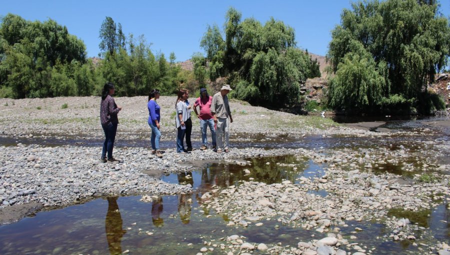 Nuevo golpe laboral para La Calera: Empresa Algas Marinas confirma despido de trabajadores por bajo caudal del río Aconcagua