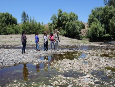 Nuevo golpe laboral para La Calera: Empresa Algas Marinas confirma despido de trabajadores por bajo caudal del río Aconcagua