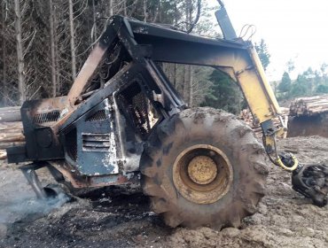 Atentado incendiario destruyó dos máquinas forestales al interior de fundo en Carahue