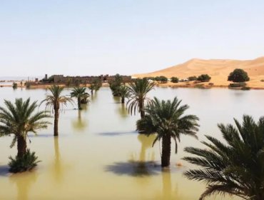 Las imágenes de las raras inundaciones en el desierto del Sahara que no ocurrían desde hace 50 años