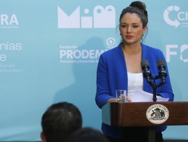 Cámara aprueba comisión investigadora por caso «ProCultura» y abonos de Karamanos