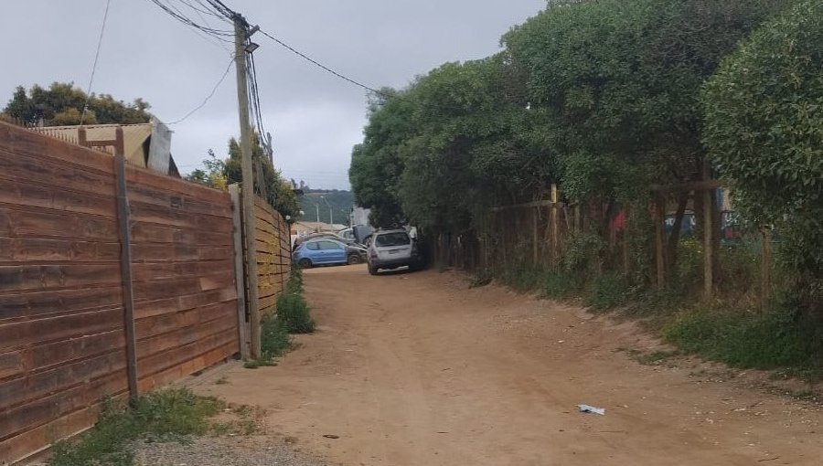 La realidad del otro Viña: En Parcela 11 deben "pinchar" cañerías para beber agua y aún esperan limpieza de pozos sépticos