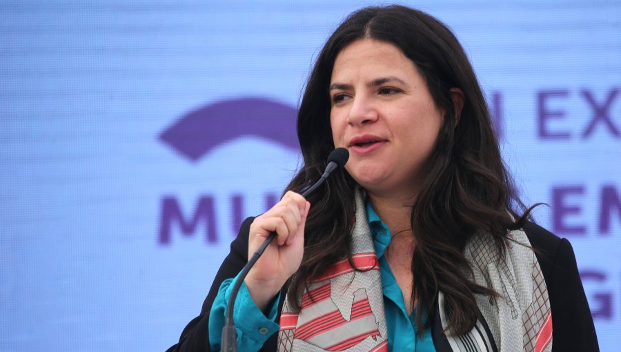 Ministra de la Mujer por casos de Monsalve y Valdivia: "No es el alcohol la causa de la violencia sexual"