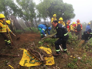 Refuerzan protección de casas del cerro Cordillera de Valparaíso ante posibles incendios forestales