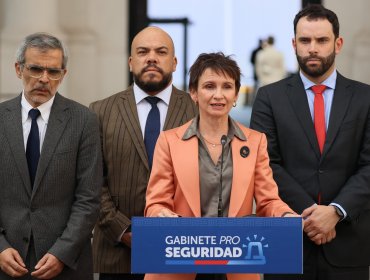 Ministra del Interior confirmó que militares se incorporarán a la fiscalización de armas en la región Metropolitana