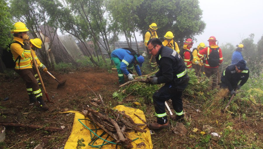 Refuerzan protección de casas del cerro Cordillera de Valparaíso ante posibles incendios forestales