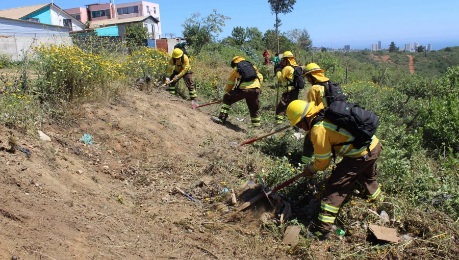 Realizan operativo para prevenir incendios forestales en popular villa de Viña del Mar