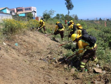 Realizan operativo para prevenir incendios forestales en popular villa de Viña del Mar