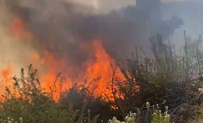 Incendio forestal afecta a sector de Laguna Verde en Valparaíso: 1 hectárea ha sido consumida