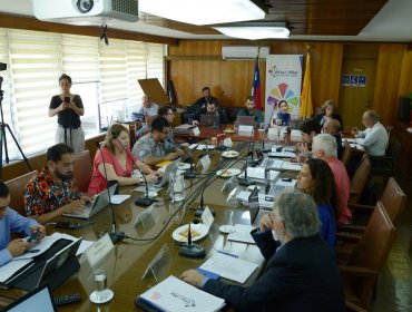 Partido Republicano arrasa en Viña del Mar y logra tres escaños en el Concejo Municipal: fuerzas políticas quedaron equiparadas