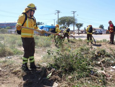 Realizan operativo para evitar y mitigar incendios forestales en la parte alta de Viña del Mar