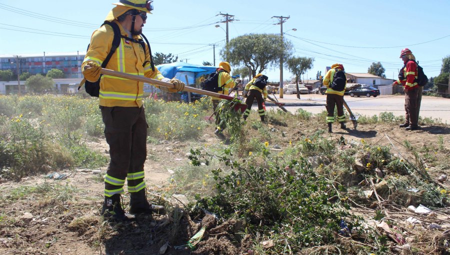 Realizan operativo para evitar y mitigar incendios forestales en la parte alta de Viña del Mar