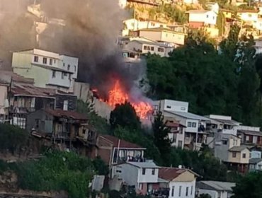 Incendio consume al menos una vivienda en sector del cerro Ramaditas de Valparaíso