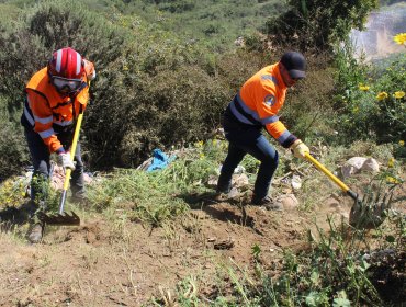 Destacan ejecución de 420 kilómetros lineales de cortafuegos para combatir temporada alta de incendios forestales en la V Región