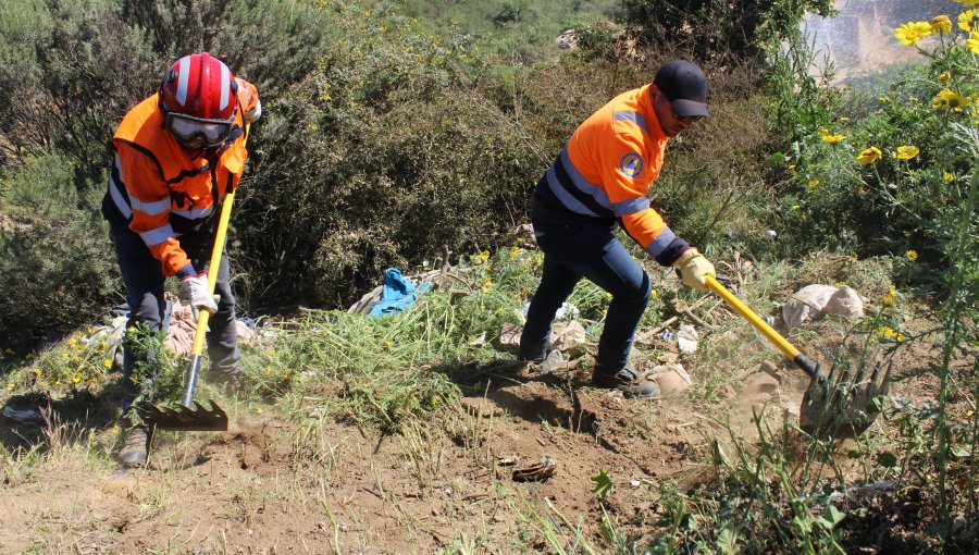 Destacan ejecución de 420 kilómetros lineales de cortafuegos para combatir temporada alta de incendios forestales en la V Región