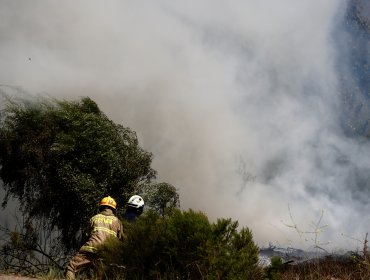 Llaman a reforzar la prevención en zona central del país por probabilidad de ocurrencia de incendios forestales