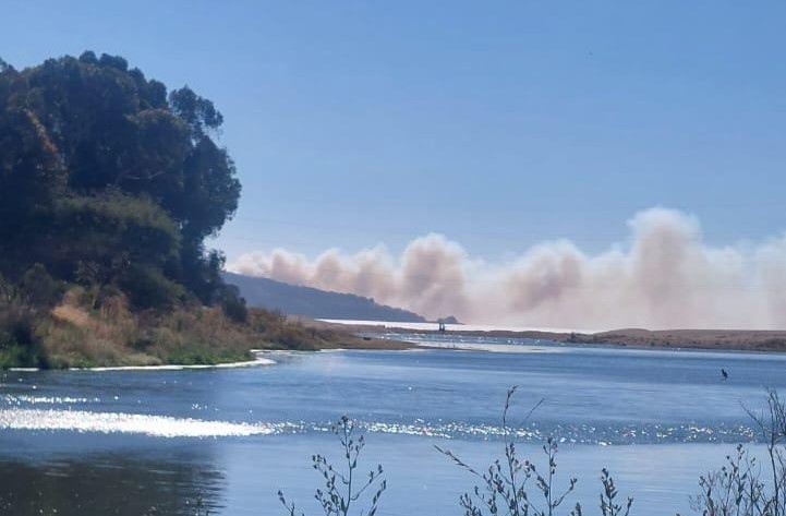 Declaran Alerta Roja comunal por incendio forestal en sector Laguna Verde de Valparaíso