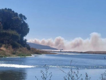 Declaran Alerta Roja comunal por incendio forestal en sector Laguna Verde de Valparaíso