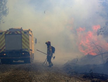 Una vivienda destruida y 20 personas evacuadas por incendio forestal en sector Laguna Verde de Valparaíso