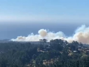 Solicitan evacuar tres sectores por incendio forestal en Laguna Verde de Valparaíso: Cinco hectáreas han sido consumidas