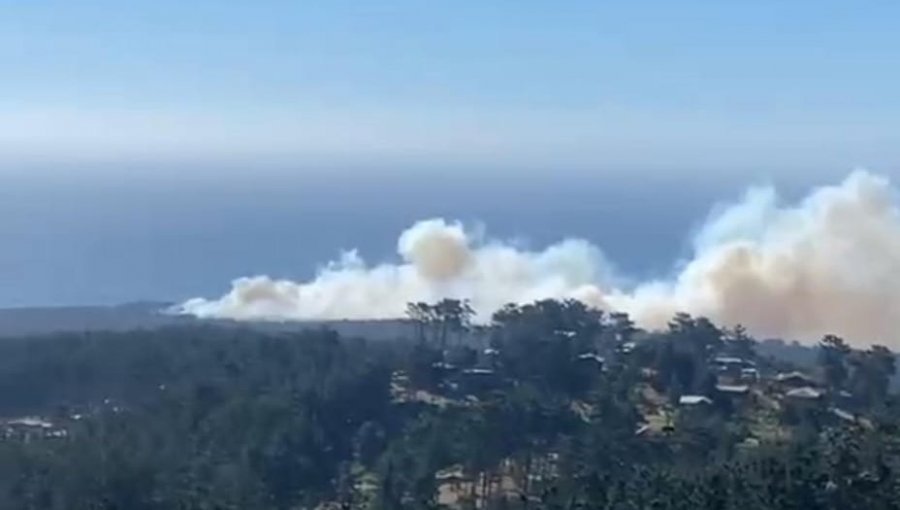 Solicitan evacuar tres sectores por incendio forestal en Laguna Verde de Valparaíso: Cinco hectáreas han sido consumidas