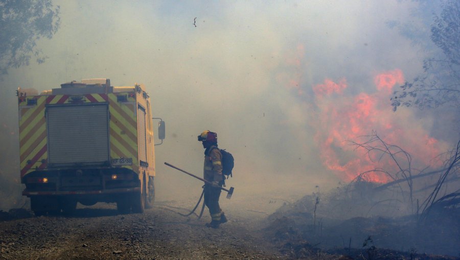 Una vivienda destruida y 20 personas evacuadas por incendio forestal en sector Laguna Verde de Valparaíso