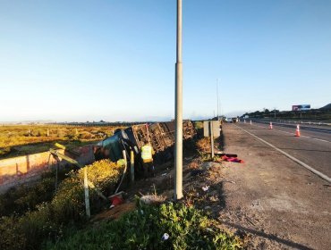 Bus con hinchas de Colo-Colo sufre grave accidente en la ruta 5 Norte de Coquimbo: varios heridas y dos en riesgo vital