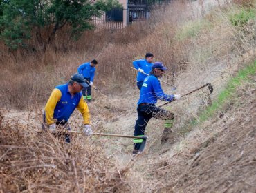 Monitorean avances y planificación de trabajos preventivos contra incendios forestales durante Cogrid en Viña del Mar