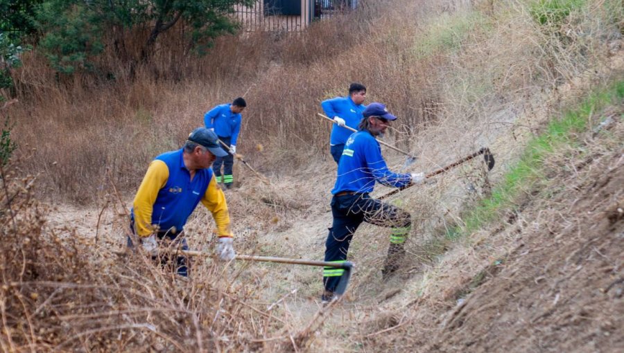 Monitorean avances y planificación de trabajos preventivos contra incendios forestales durante Cogrid en Viña del Mar