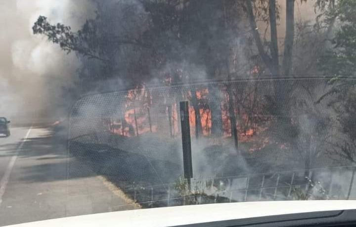 Incendio forestal en Quilpué ha consumido 40 hectáreas: equipos de emergencia continúan combatiendo el siniestro