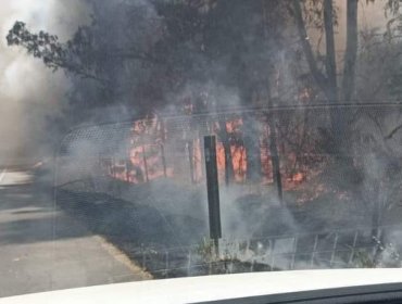 Incendio forestal en Quilpué ha consumido 40 hectáreas: equipos de emergencia continúan combatiendo el siniestro