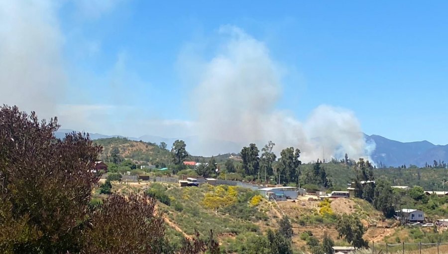 Solicitan evacuar los sectores Fundo Los Molles y Los Perales por incendio forestal en Quilpué