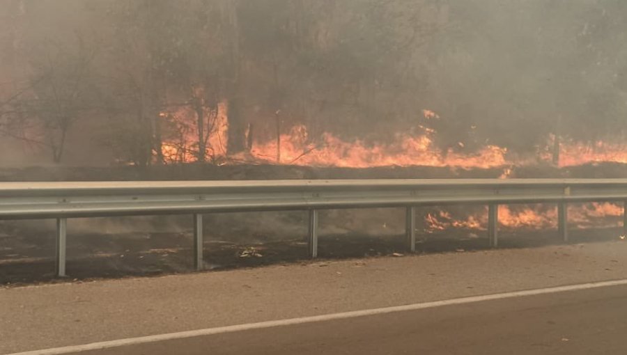 Solicitan evacuar los sectores Parcelación Los Molles y La Virgen en Quilpué por incendio forestal