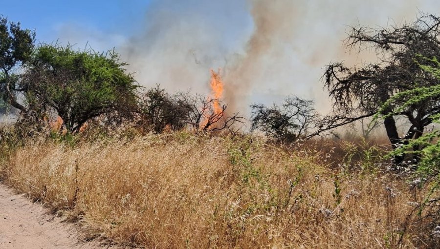 Declaran Alerta Amarilla para Santo Domingo por incendio forestal que "presenta alta velocidad de propagación"