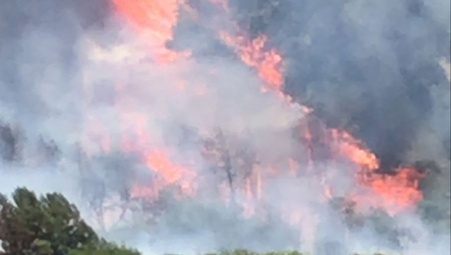 Aumentan a 130 las hectáreas consumidas por el incendio forestal en la comuna de Quilpué