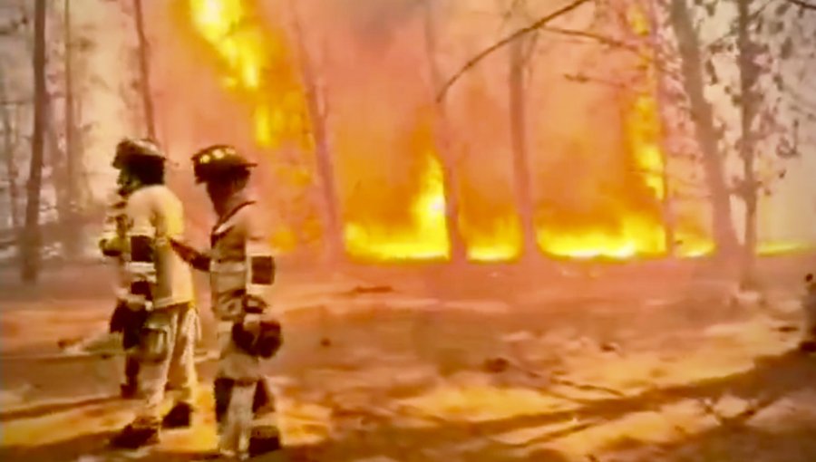 Incendios forestales hacen revivir pesadillas en Viña del Mar, Quilpué y Villa Alemana