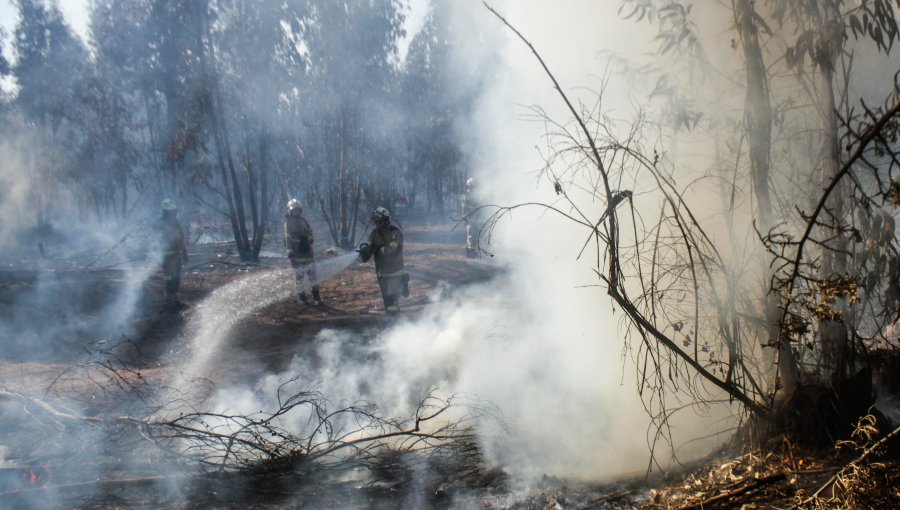 Director regional de Conaf en Valparaíso califica de “sospechosos” los múltiples focos de incendio que se han registrado