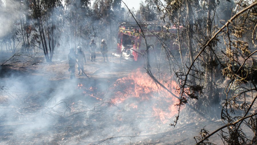 Solicitan evacuar el sector Camino Vecinal en la comuna de Quilpué por incendio forestal