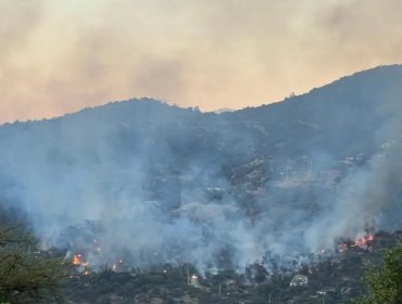 Declaran Alerta Roja para Hijuelas por incendio forestal que presenta "amenaza inminente al Parque Nacional La Campana"