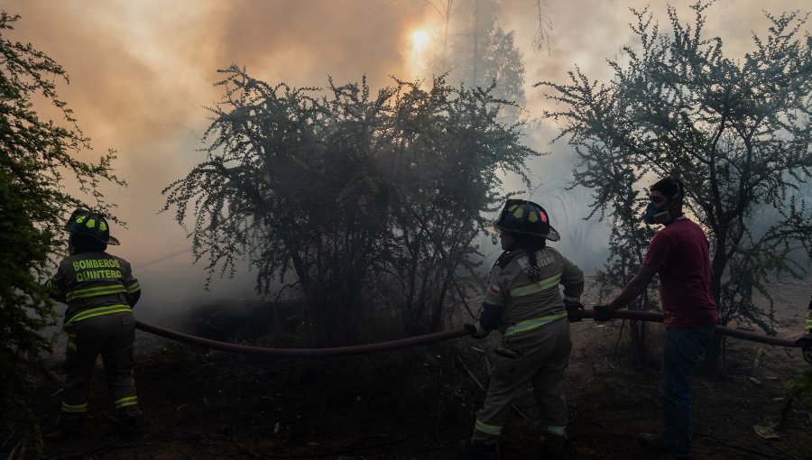 300 hectáreas ha consumido el incendio forestal en Quilpué y Villa Alemana: siniestro se mantiene en combate