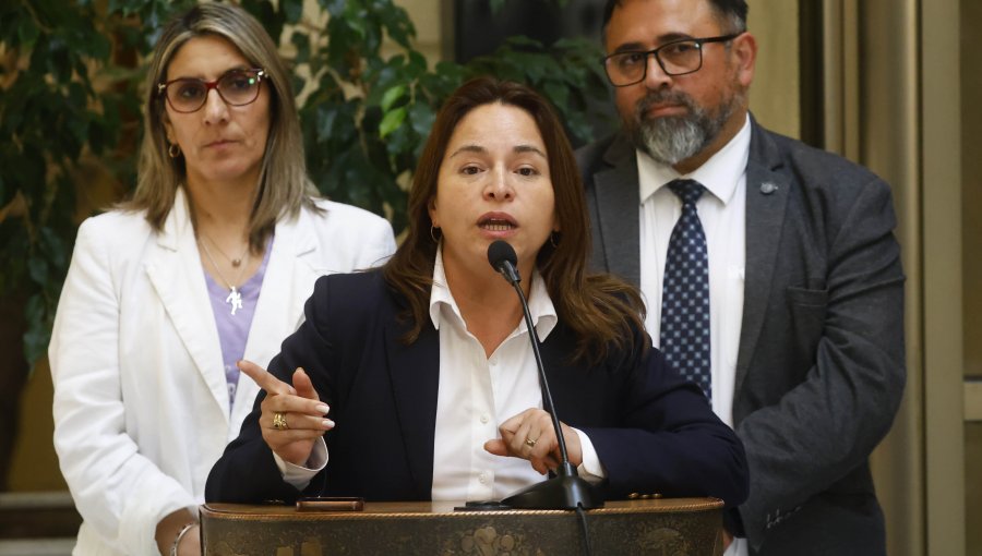 Diputada Joanna Pérez: “Hay varias personas del oficialismo que no están en su sano juicio"