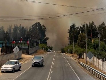 Solicitan evacuar cuatro sectores de la comuna de Quilpué por incendio forestal que obligó a decretar Alerta Roja