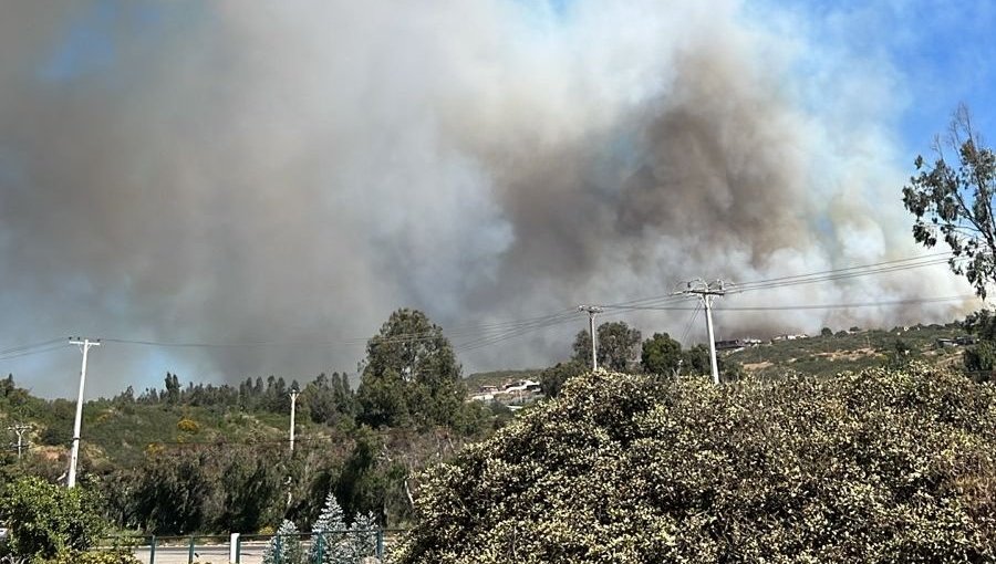 Declaran Alerta Roja para Viña del Mar por incendio forestal que "presenta comportamiento extremo"