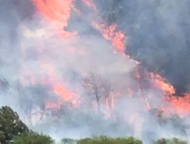 Aumentan a 130 las hectáreas consumidas por el incendio forestal en la comuna de Quilpué