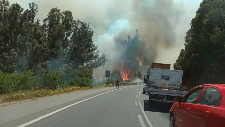 Solicitan evacuar los sectores Medialuna y cancha Los Molles por incendio forestal en Quilpué