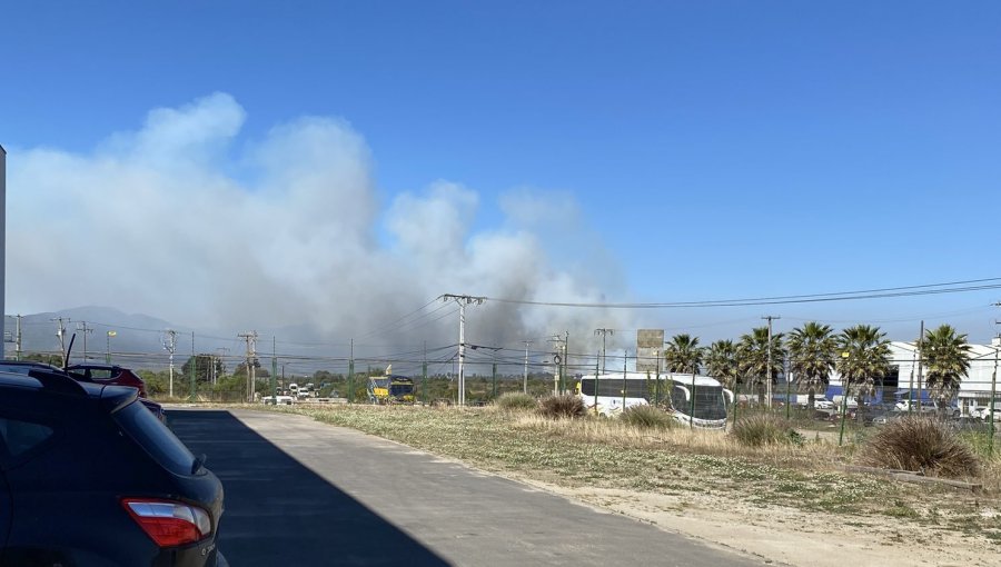 Solicitan evacuar los sectores La Cantera y Alto La Cantera en la comuna de Concón por incendio forestal