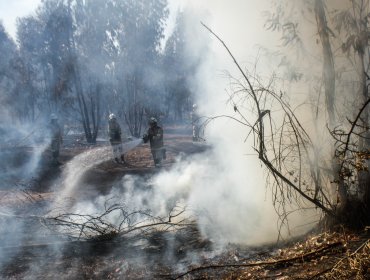 Director regional de Conaf en Valparaíso califica de “sospechosos” los múltiples focos de incendio que se han registrado