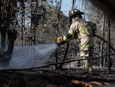 Detienen a dos adolescentes acusados de provocar incendio en Valparaíso y a un hombre por un siniestro en Santo Domingo