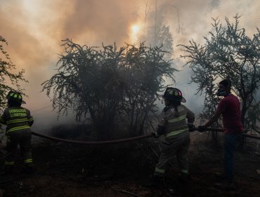 300 hectáreas ha consumido el incendio forestal en Quilpué y Villa Alemana: siniestro se mantiene en combate